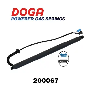 200067 DOGA