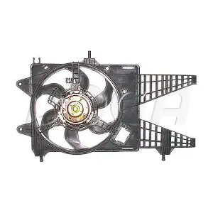 DOGA EFI049