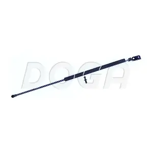 2012903 DOGA