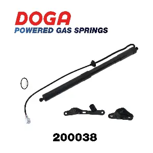 200038 DOGA