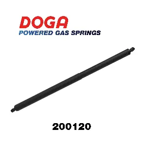 200120 DOGA