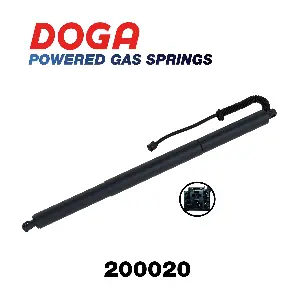 200020 DOGA