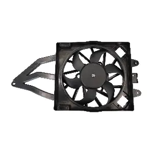 EFI169 DOGA