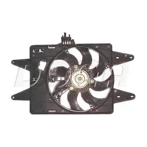 EFI144 DOGA