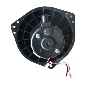 BW0240 DOGA
