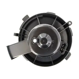 BW0175 DOGA