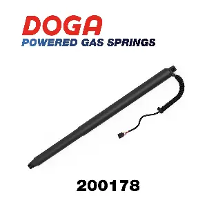 200178 DOGA
