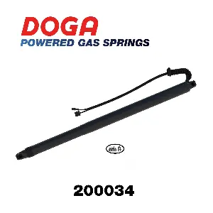 200034 DOGA