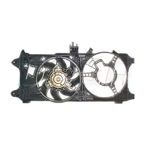 EFI085 DOGA