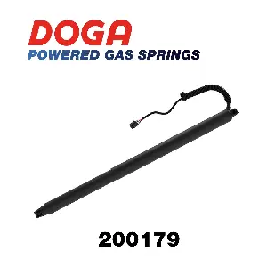 200179 DOGA
