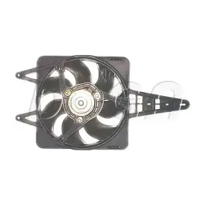 EFI052 DOGA