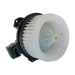DOGA BW0061