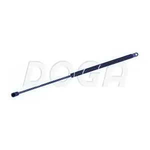 DOGA 2022093