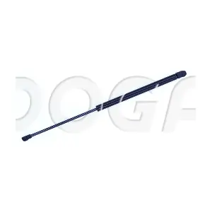 DOGA 2023593
