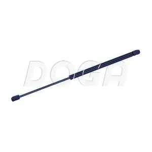 DOGA 2023973
