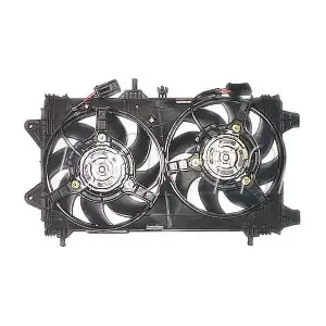 EFI031 DOGA