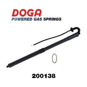 200138 DOGA