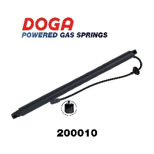 200010 DOGA
