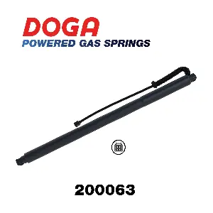 200063 DOGA