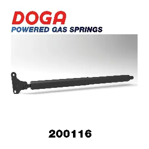 200116 DOGA