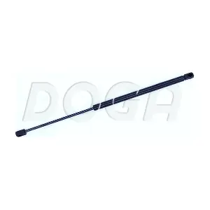 2018013 DOGA