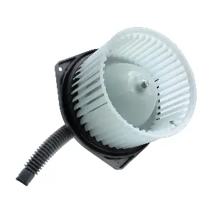 BW0160 DOGA