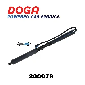 200079 DOGA