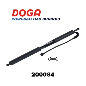 200084 DOGA
