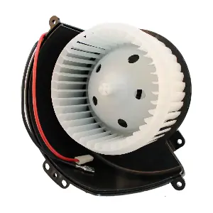 DOGA BW0029
