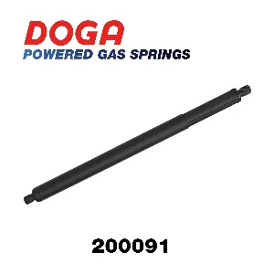 200091 DOGA