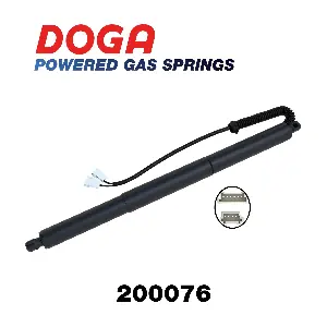 200076 DOGA
