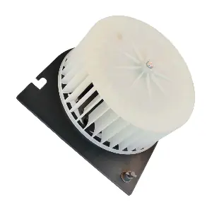 BW0286 DOGA