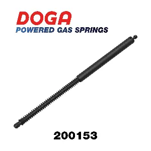 200153 DOGA