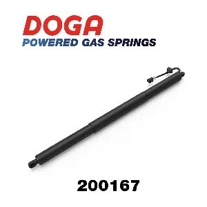 200167 DOGA
