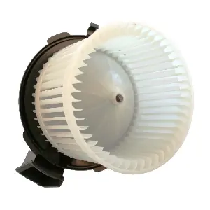 BW0282 DOGA