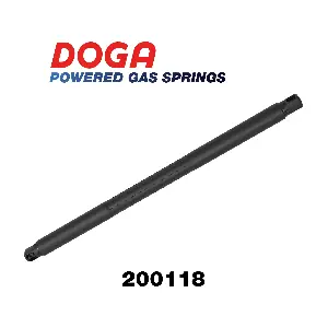 200118 DOGA
