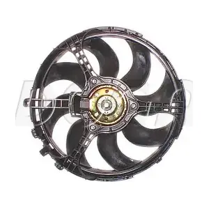 EFI072 DOGA
