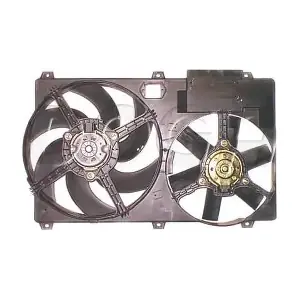 EFI092 DOGA