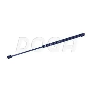 DOGA 2024693
