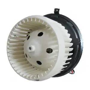 BW0181 DOGA