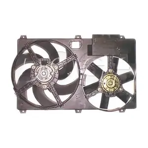 EFI087 DOGA