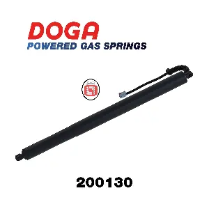200130 DOGA