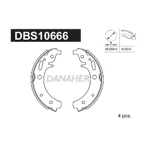 DBS10666 DANAHER