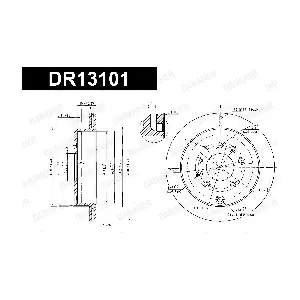 DANAHER DR13101