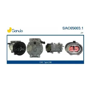 SAC65003.1 SANDO