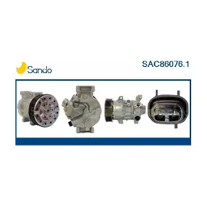 SANDO SAC86076.1
