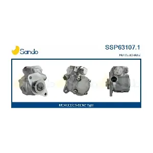 SSP63107.1 SANDO