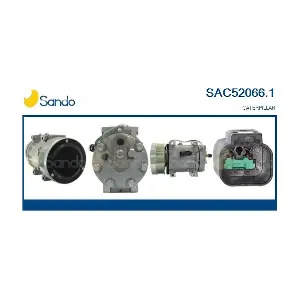 SANDO SAC52066.1