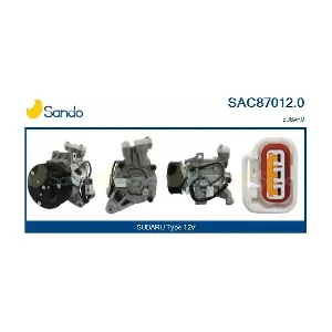 SAC87012.0 SANDO