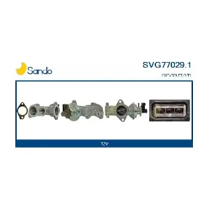 SVG77029.1 SANDO